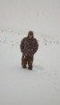 /album/photogallery/deep-snow-jpg/